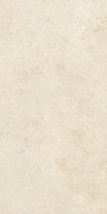 Authentic Luxe Montpellier 24x48 Stone Look Porcelain Tile