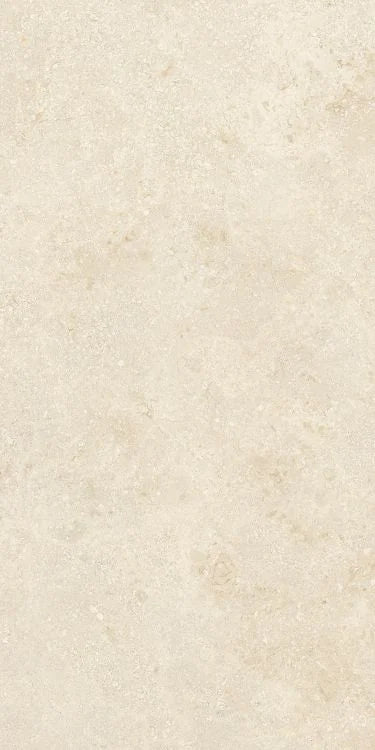 Authentic Luxe Montpellier 24x48 Stone Look Porcelain Tile