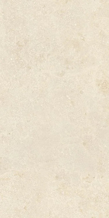 Authentic Luxe Montpellier 24x48 Stone Look Porcelain Tile