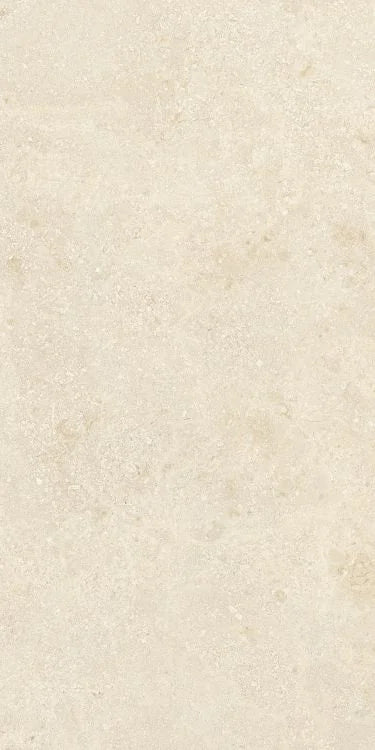 Authentic Luxe Montpellier 24x48 Stone Look Porcelain Tile