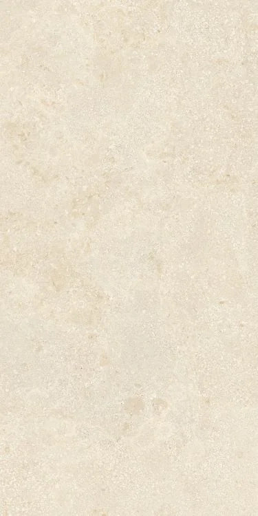 Authentic Luxe Montpellier 24x48 Stone Look Porcelain Tile