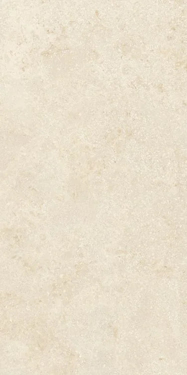 Authentic Luxe Montpellier 24x48 Stone Look Porcelain Tile