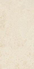 Authentic Luxe Montpellier 24x48 Stone Look Porcelain Tile