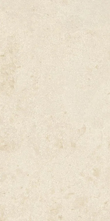 Authentic Luxe Montpellier 24x48 Stone Look Porcelain Tile