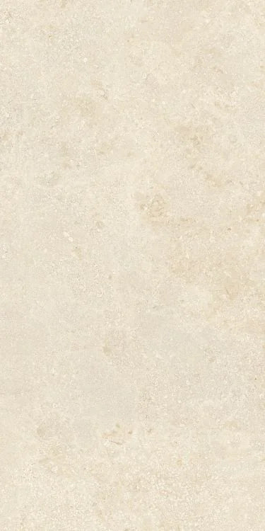 Authentic Luxe Montpellier 24x48 Stone Look Porcelain Tile