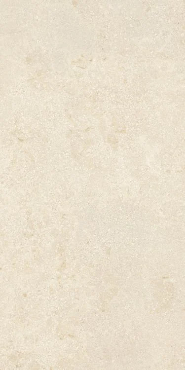 Authentic Luxe Montpellier 24x48 Stone Look Porcelain Tile