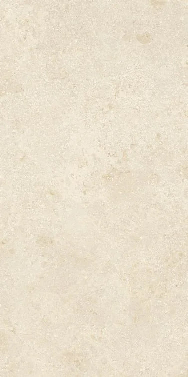 Authentic Luxe Montpellier 24x48 Stone Look Porcelain Tile