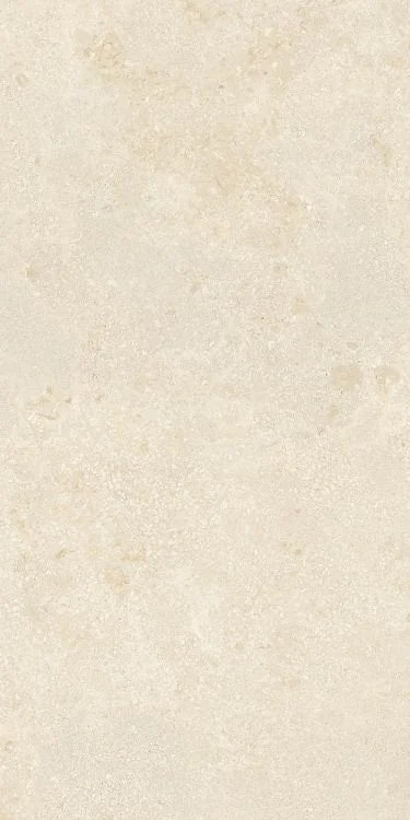 Authentic Luxe Montpellier 24x48 Stone Look Porcelain Tile