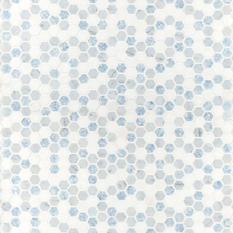 Azula Hex Polished Misc. Marble Mosaic Tile