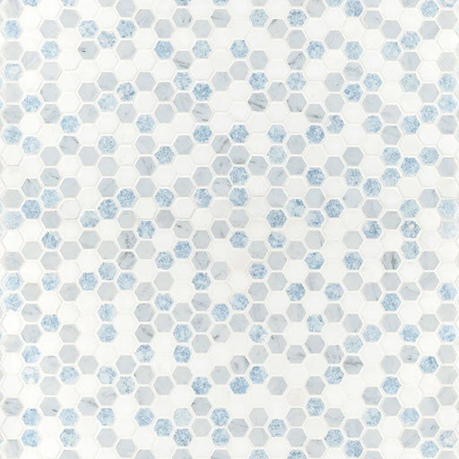 Azula Hex Polished Misc. Marble Mosaic Tile