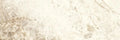 Baikal Warm 11.8x35.4 Matte Porcelain Tile