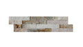 Beachwalk Quartzite 6x24 Split-Face Ledger Stone