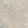 Beat Almond 24x24 Porcelain Tile
