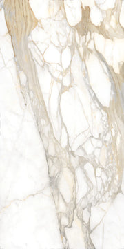 Bernini Oro Print A 60x126 Polished Porcelain Slab