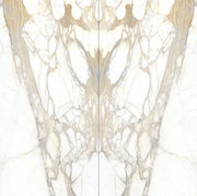 Bernini Oro Print A 60x126 Polished Porcelain Slab