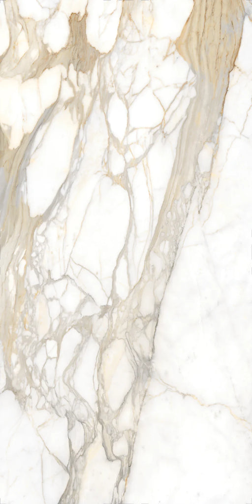 Bernini Oro Print B 60x126 Polished Porcelain Slab