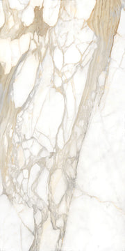 Bernini Oro Print A 60x126 Polished Porcelain Slab