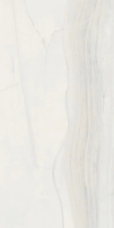 Bianchi Palissandro 12x24 Polished Marble Look Porcelain Tile