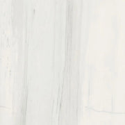 Bianchi Palissandro 32x32 Polished Marble Look Porcelain Tile