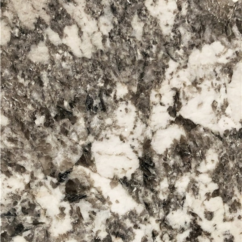 Close-up of Bianco Antico granite with white crystalline patches and dark gray and taupe mineral patterns.