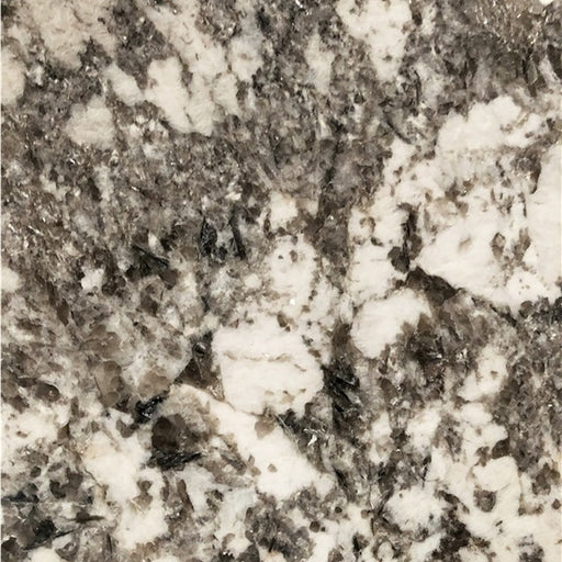 Close-up of Bianco Antico granite with white crystalline patches and dark gray and taupe mineral patterns.
