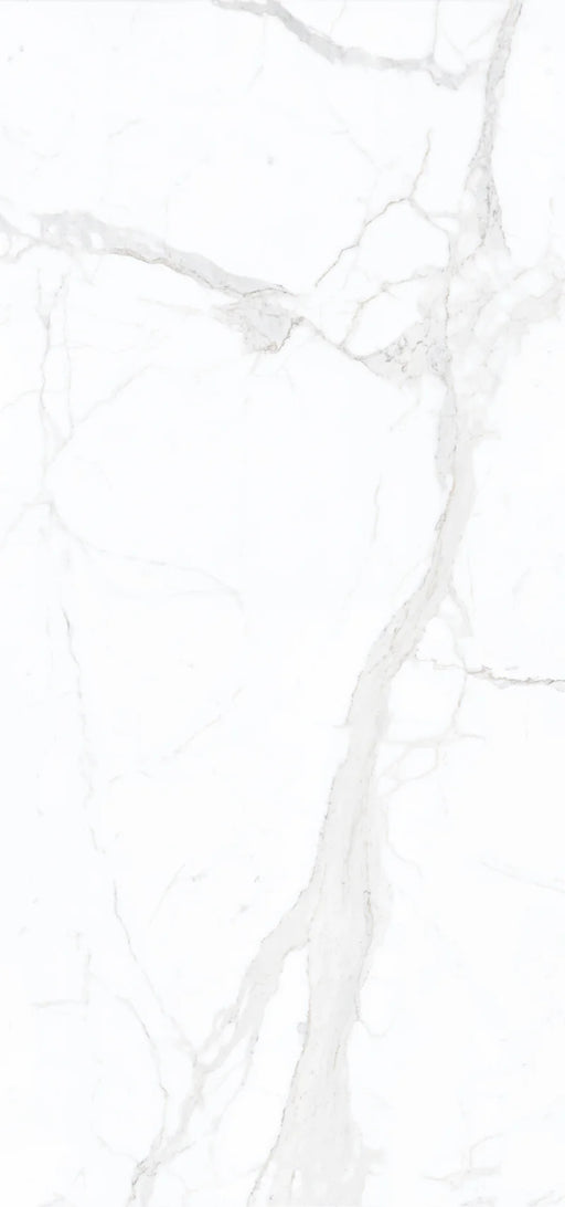 Bianco Calac Print A 60x126 Polished Porcelain Slab