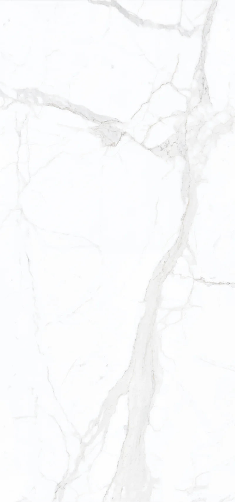 Bianco Calac Print B 60x126 Polished Porcelain Slab