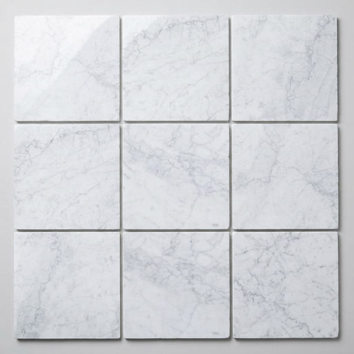 Bianco Carrara 12x12 Polished Marble Tile close-up