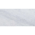 Bianco Carrara 24x48 Polished Marble Tile