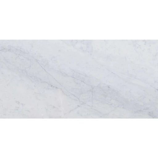 Bianco Carrara 24x48 Polished Marble Tile