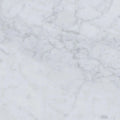 Bianco Carrara Penny Round Polished Marble Mosaic