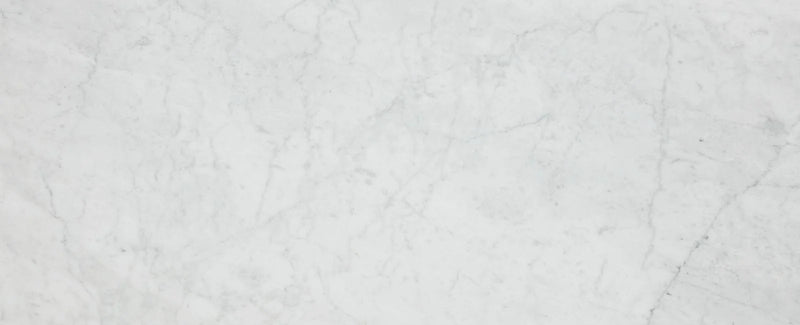 Bianco Carrara Honed 24x48 Marble Tile