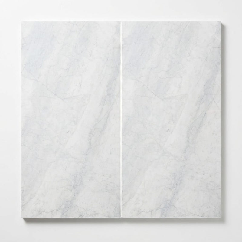 Bianco Carrara Honed 24x48 Marble Tile close-up