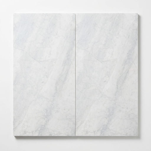 Bianco Carrara Honed 24x48 Marble Tile close-up