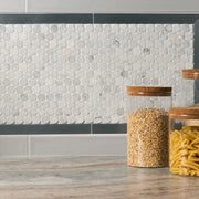 Bianco Carrara Penny Round Polished Marble Mosaic