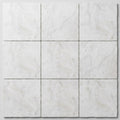 Bianco Congelato Marble 12x12 Leathered Dolomite Tile close-up