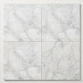 Bianco Congelato Marble 18x18 Leathered Dolomite Tile close-up