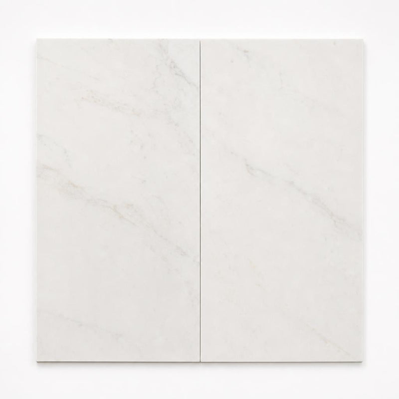 Bianco Dolomite 12x24 Honed Marble Tile close-up