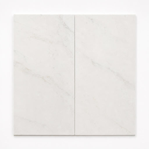 Bianco Dolomite 12x24 Honed Marble Tile close-up