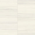 Bianco Dolomite 12x24 Matte Porcelain Tile