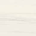 Bianco Dolomite 12x24 Matte Porcelain Tile