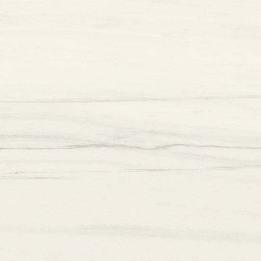 Bianco Dolomite 12x24 Matte Porcelain Tile