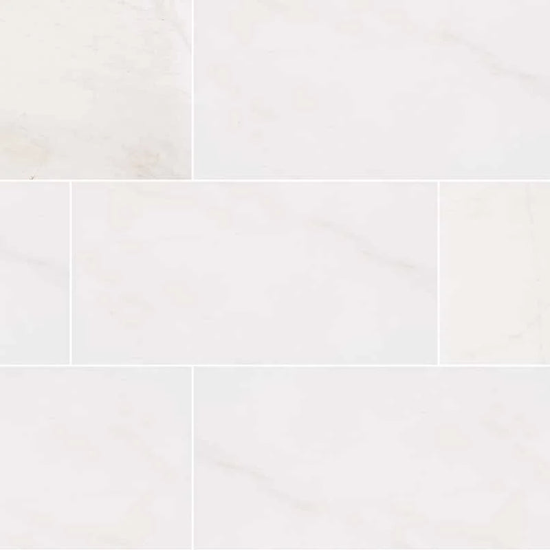 Bianco Dolomite 12x24 Honed Marble Tile