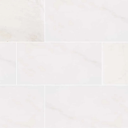 Bianco Dolomite 12x24 Honed Marble Tile