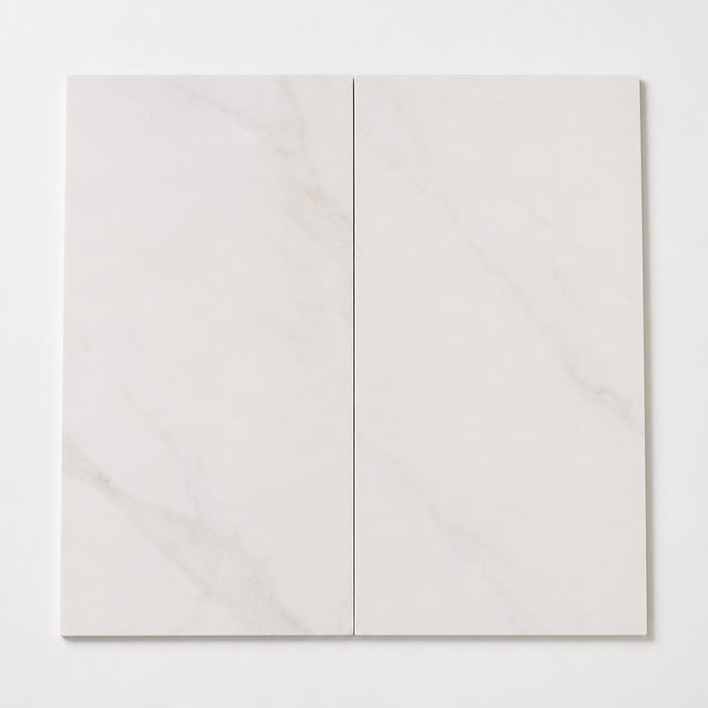 Bianco Dolomite 12x24 Polished Marble Tile close-up
