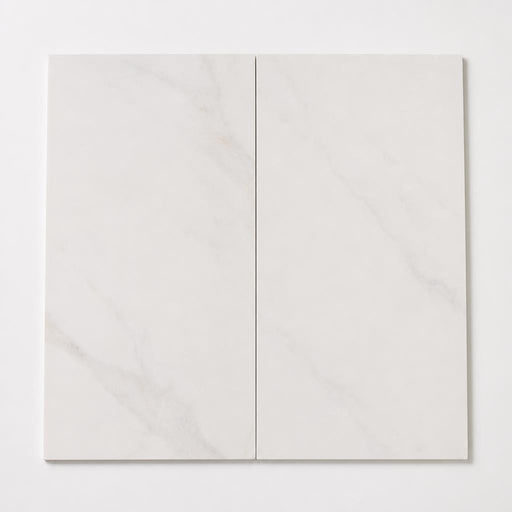 Bianco Dolomite 12x24 Polished Marble Tile close-up