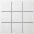 Bianco Dolomiti (White Dolomite) 12x12 Honed Tile close-up