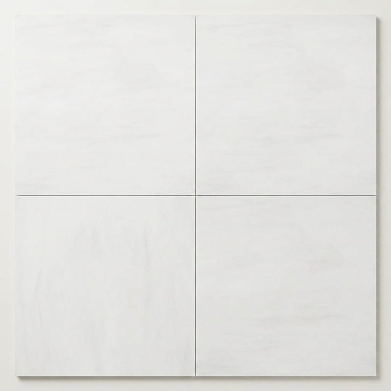 Bianco Dolomiti (White Dolomite) 18x18 Honed Tile close-up
