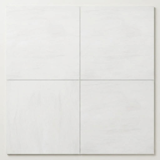 Bianco Dolomiti (White Dolomite) 18x18 Honed Tile close-up