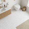 Bianco Dolomiti (White Dolomite) 2x2 Honed Hexagon Mosaic — Powder Room floor